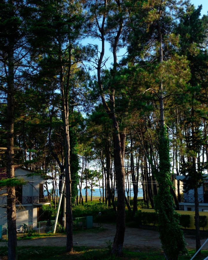 Restcoast Villa Shekhvetili Exterior foto